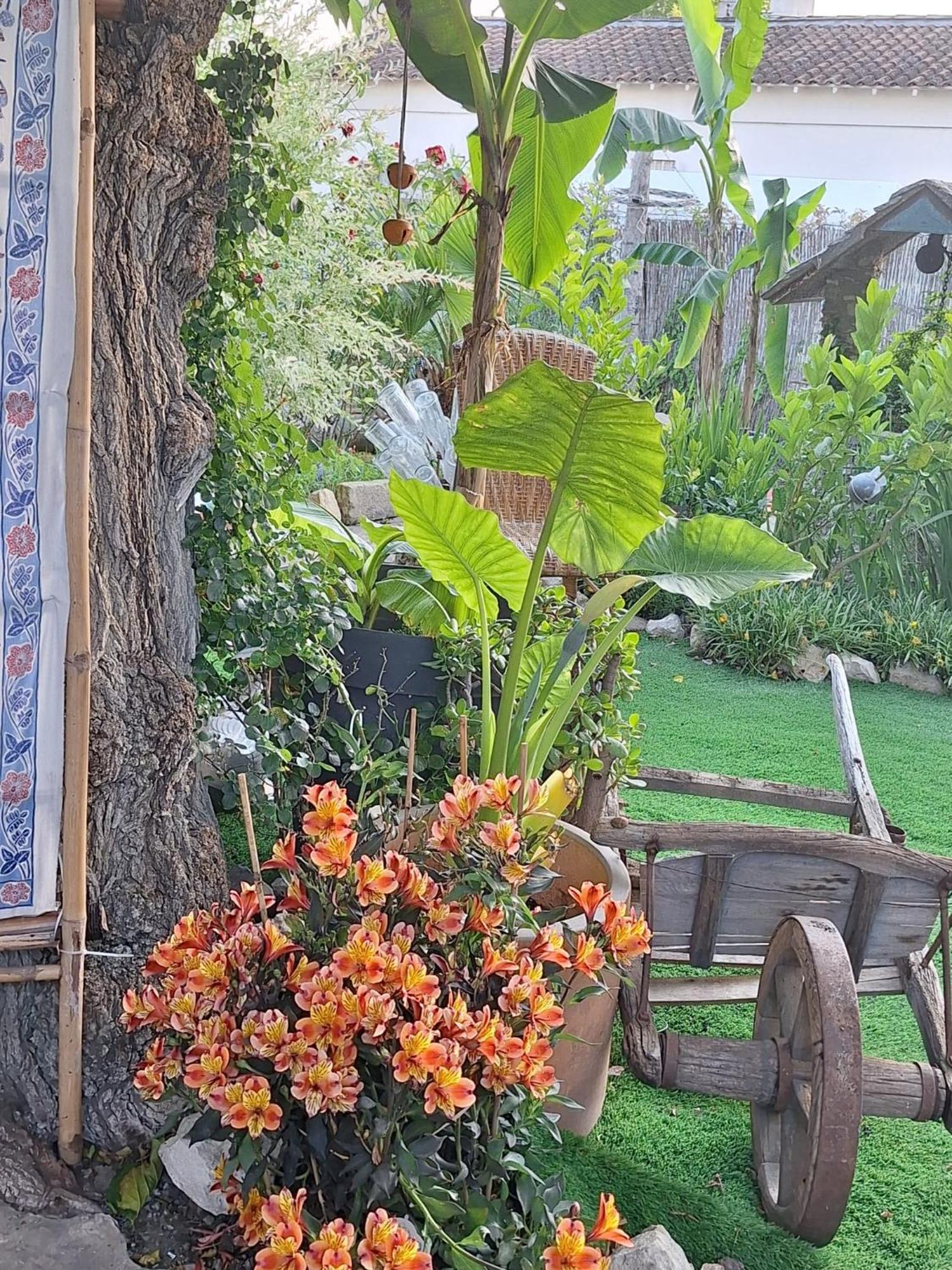 Site Paradis Rue Colibri Avignon Extérieur photo